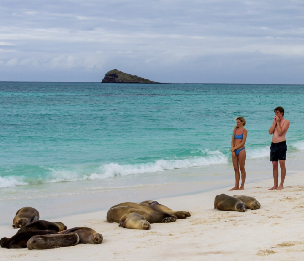Galapagos honeymoon destination