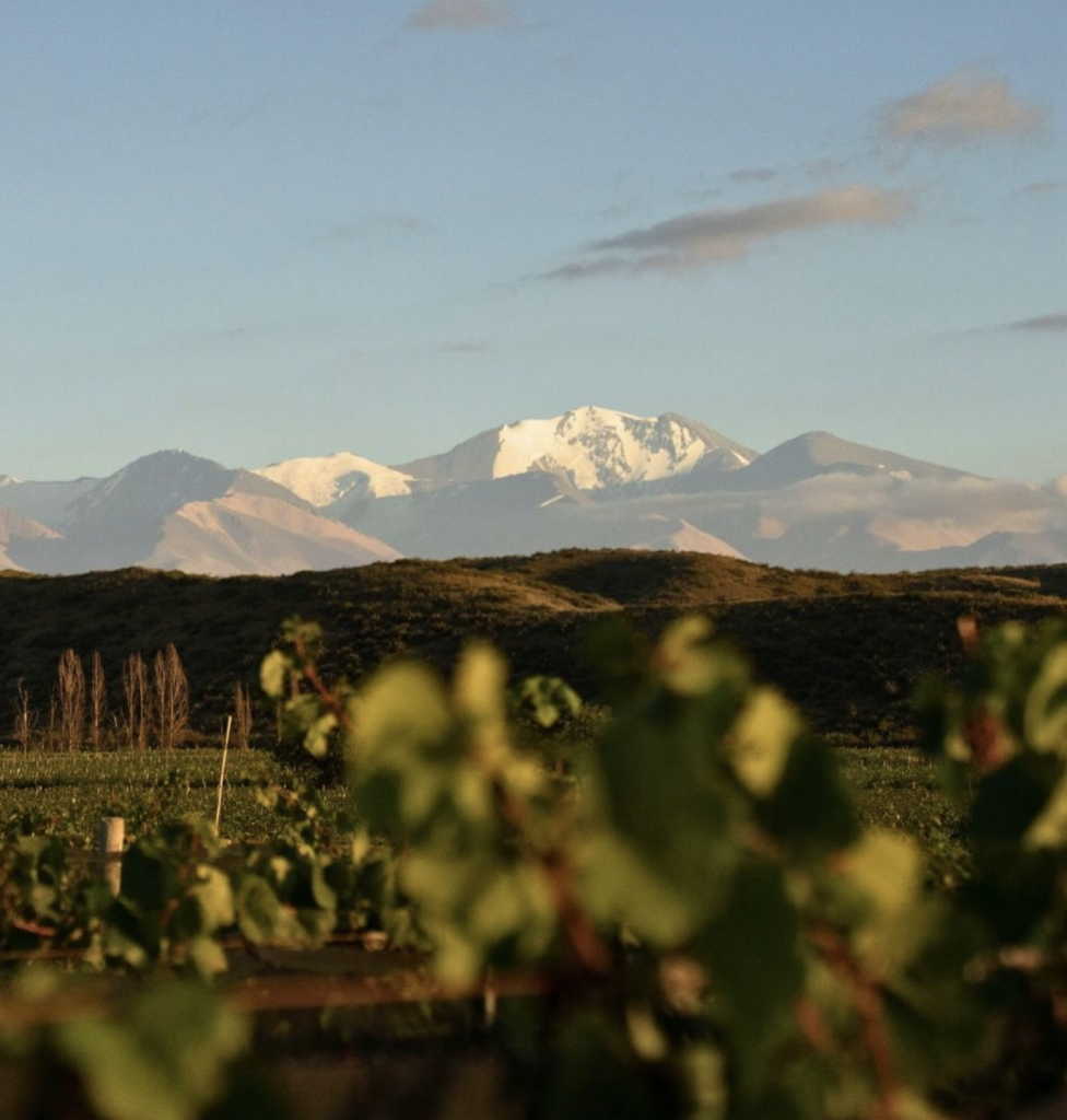 wineries in argentina