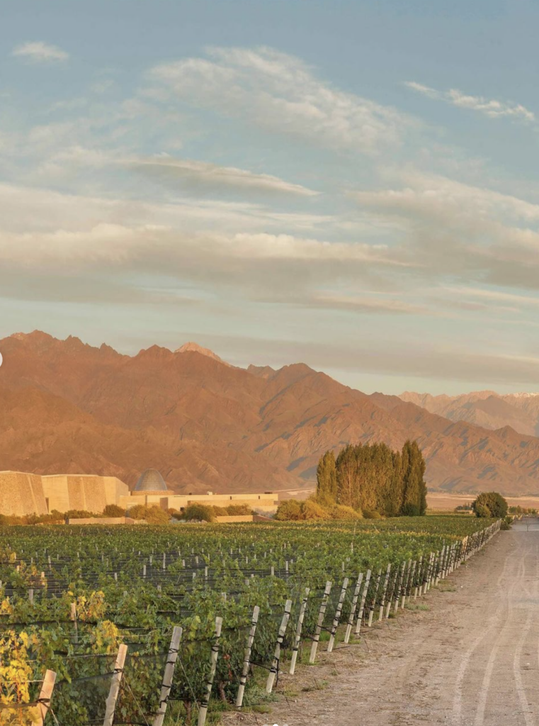 wineries in argentina