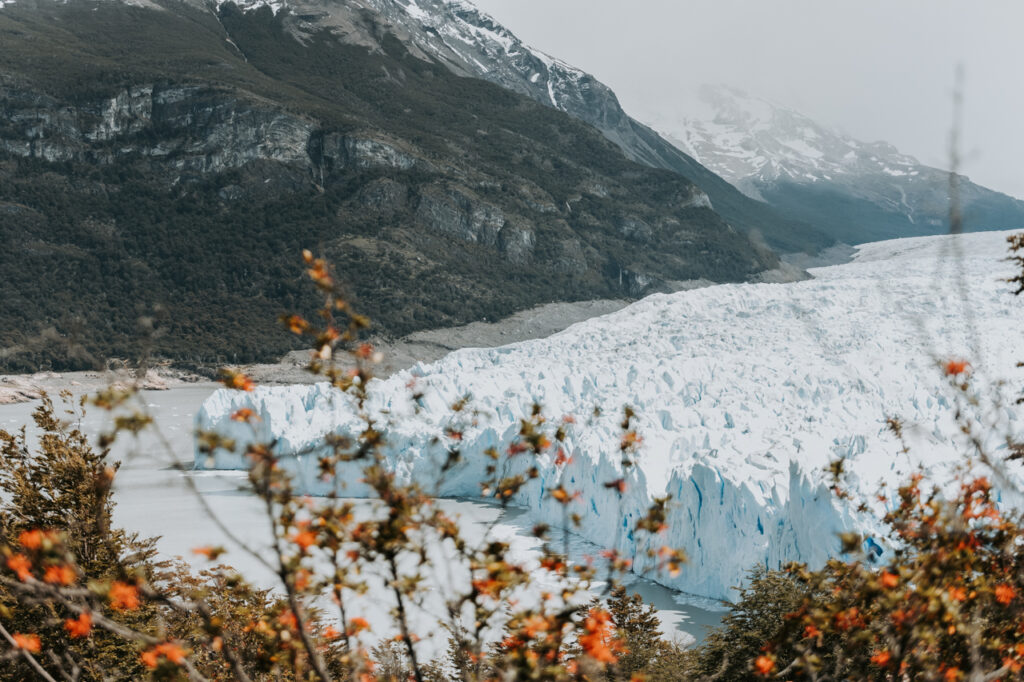 winter in argentina