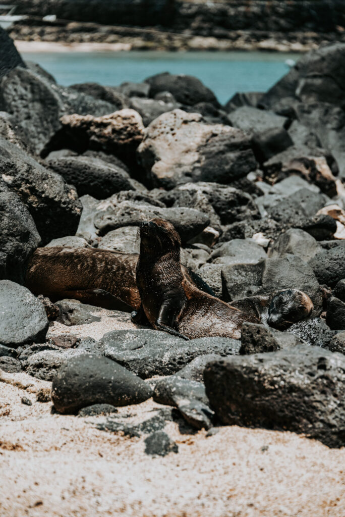 Galapagos family trips