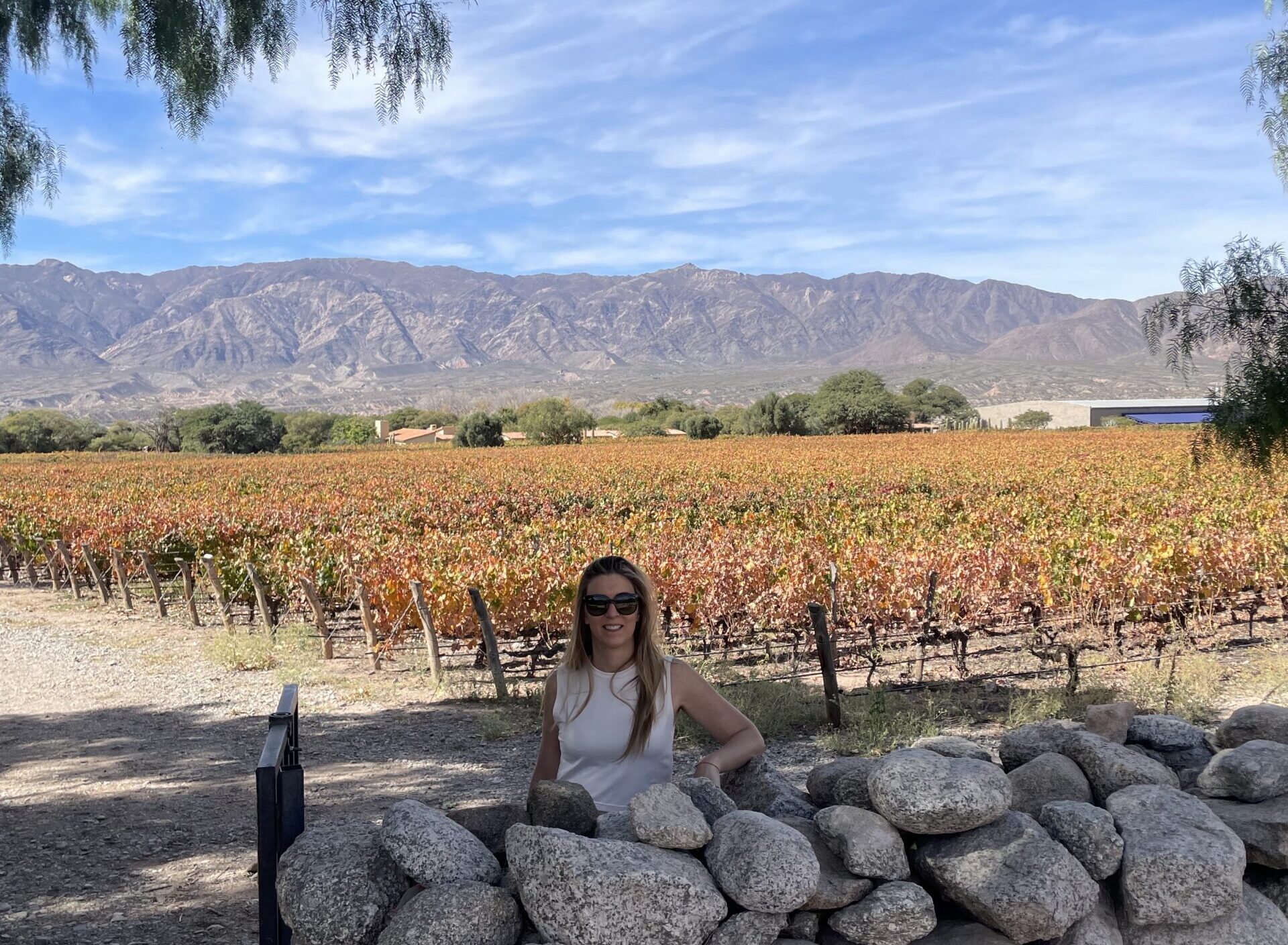 vineyards to visit in argentina
