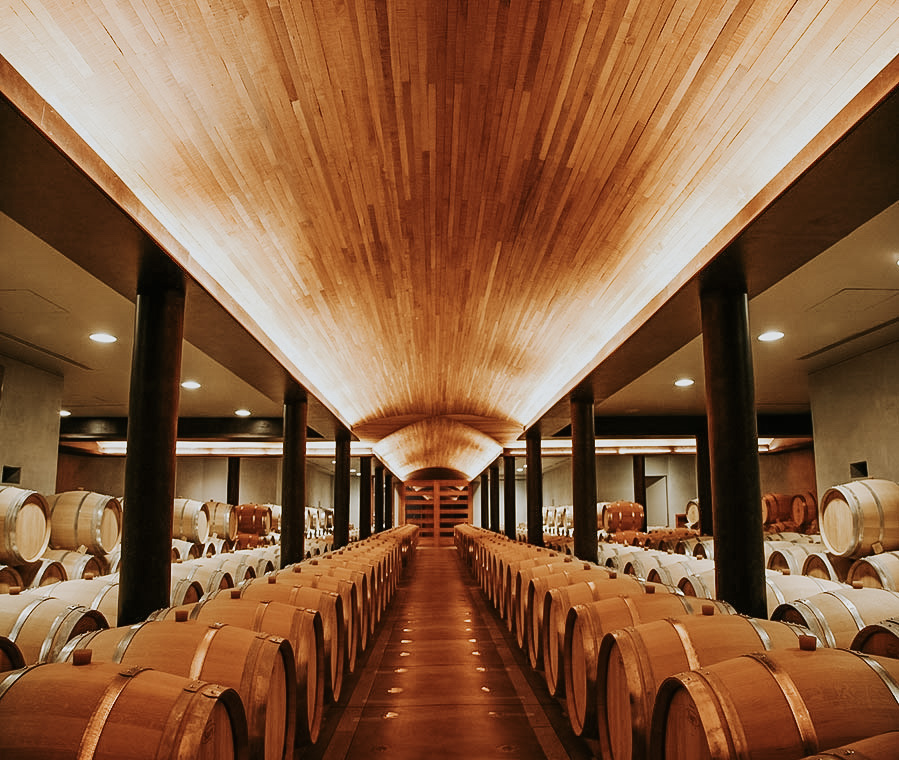 Chilean Wineries