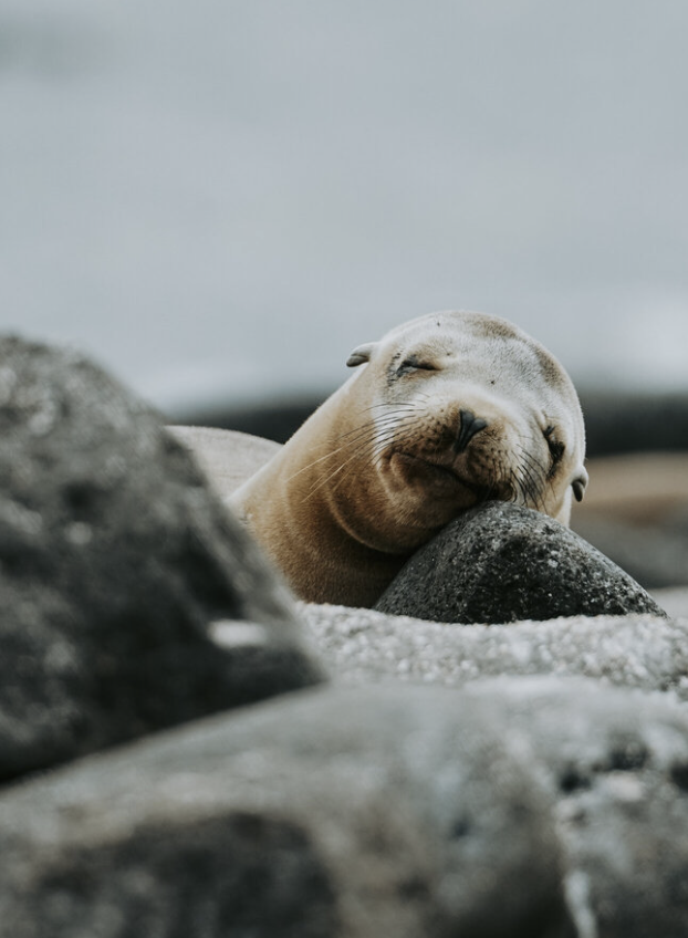 best galapagos itinerary