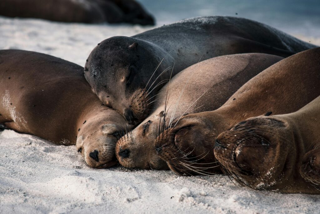 Galapagos family trips