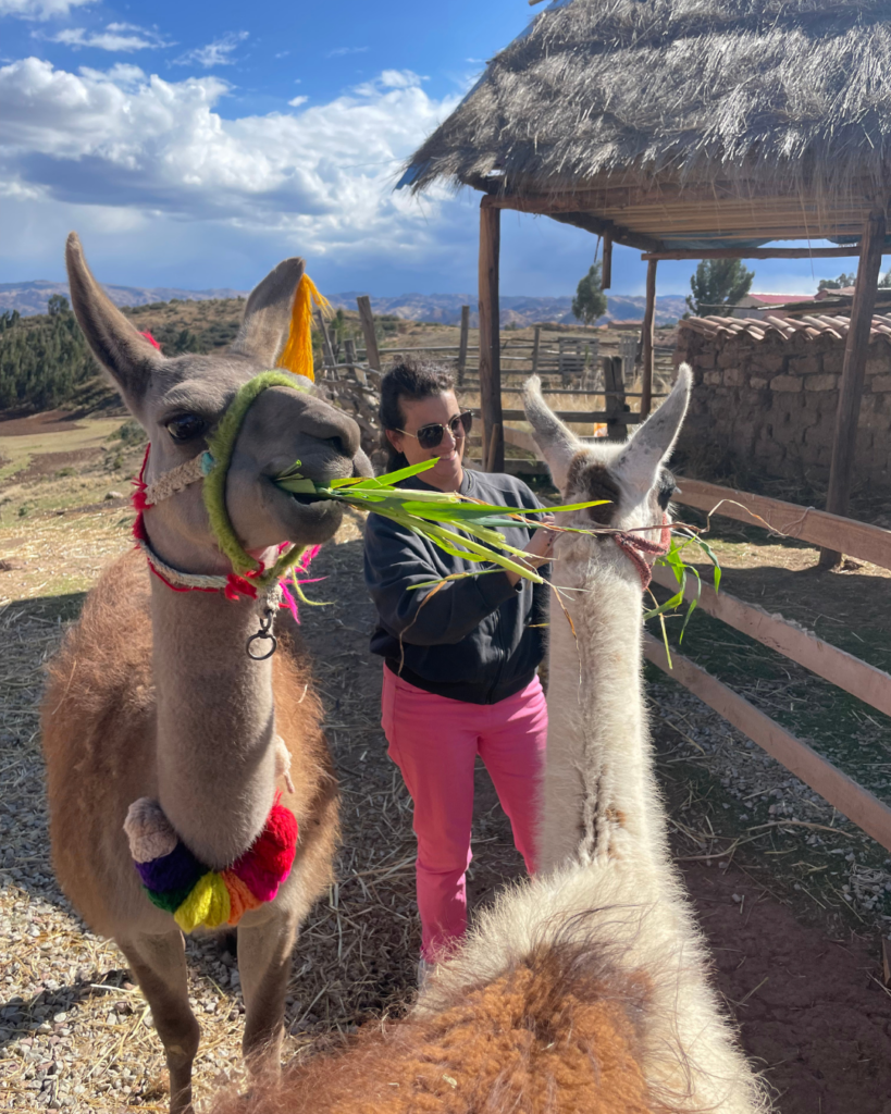 peru in november