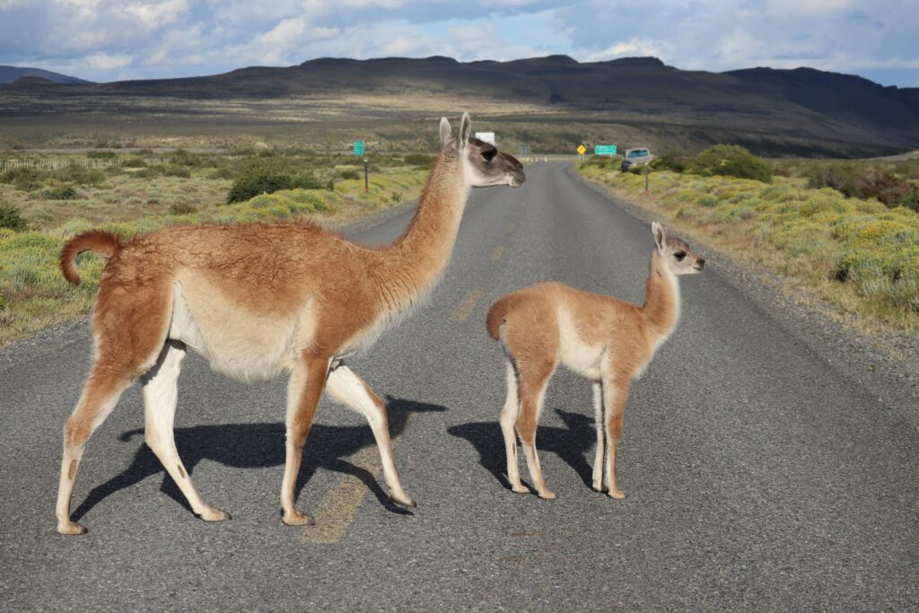 best time to visit patagonia