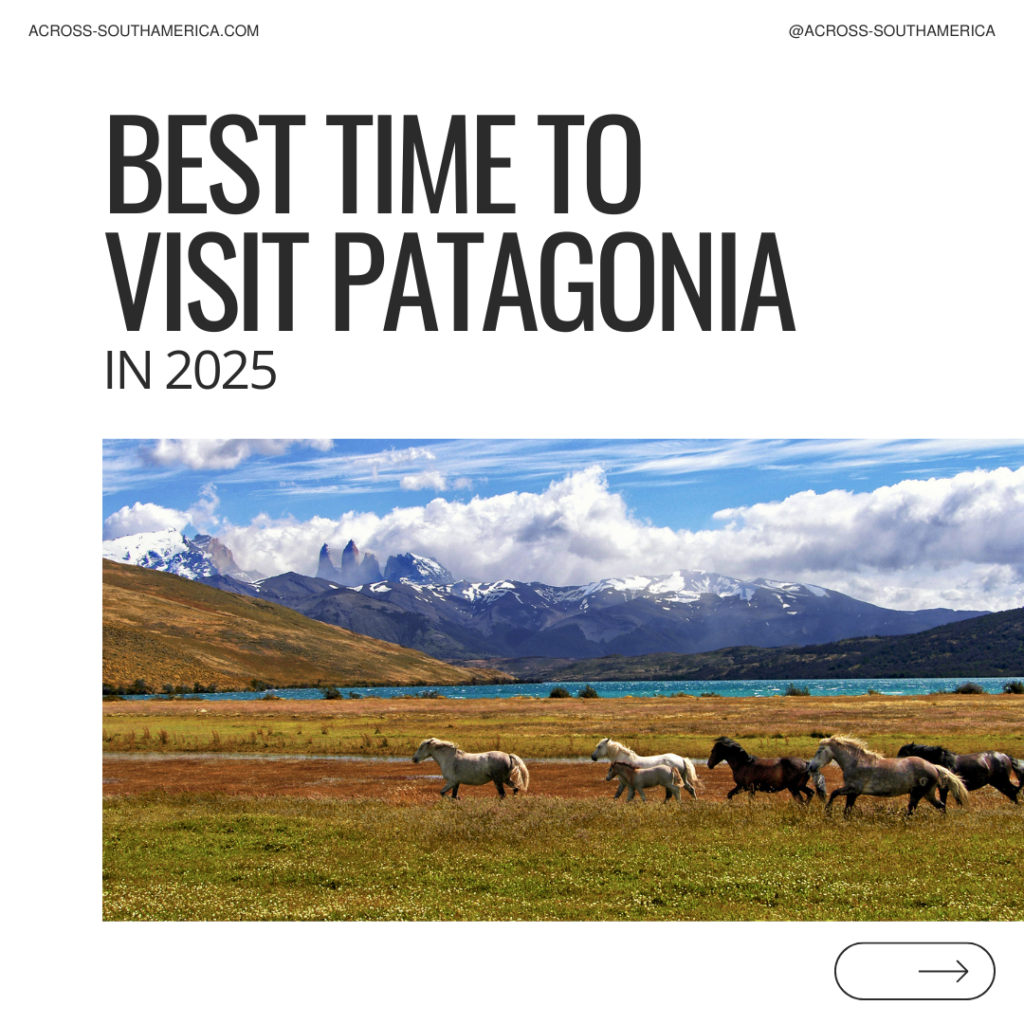 patagonia national park