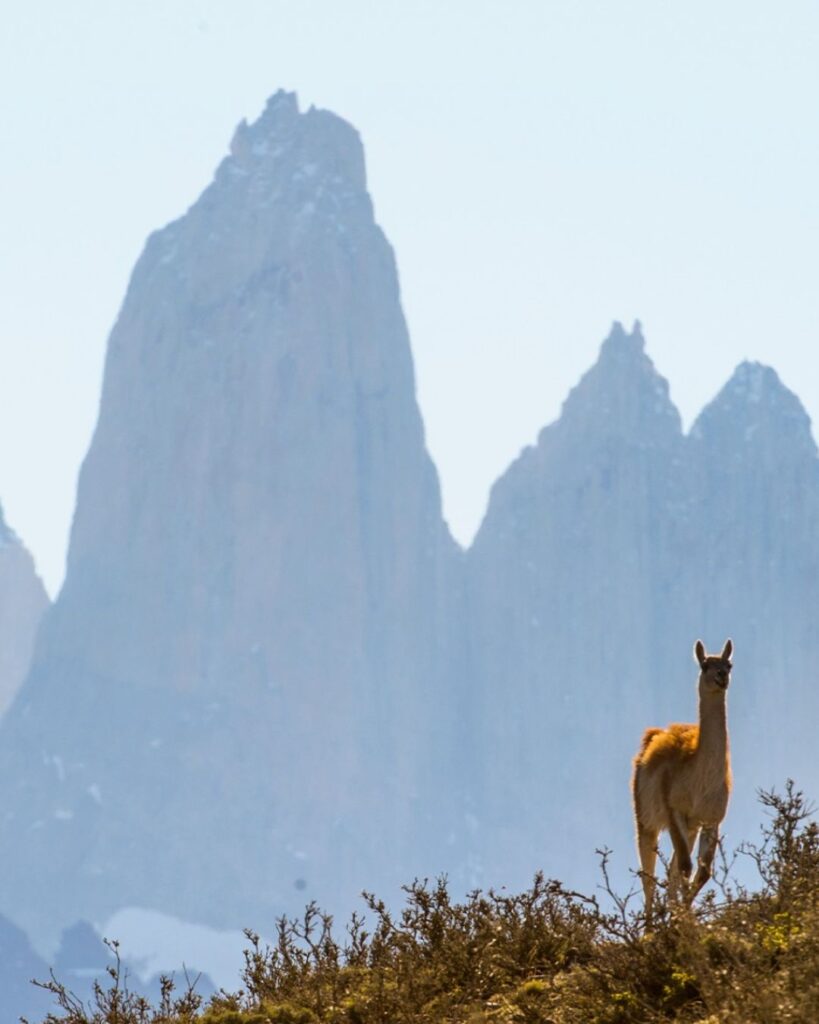 patagonia national park