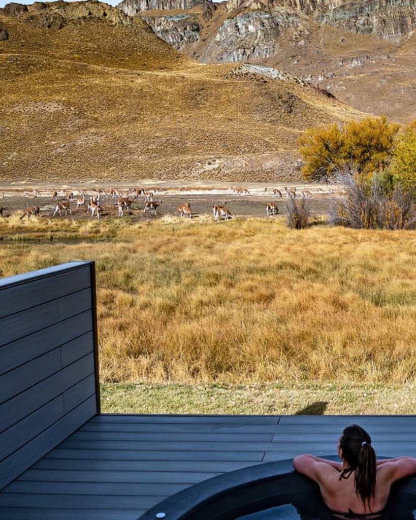 patagonia national park