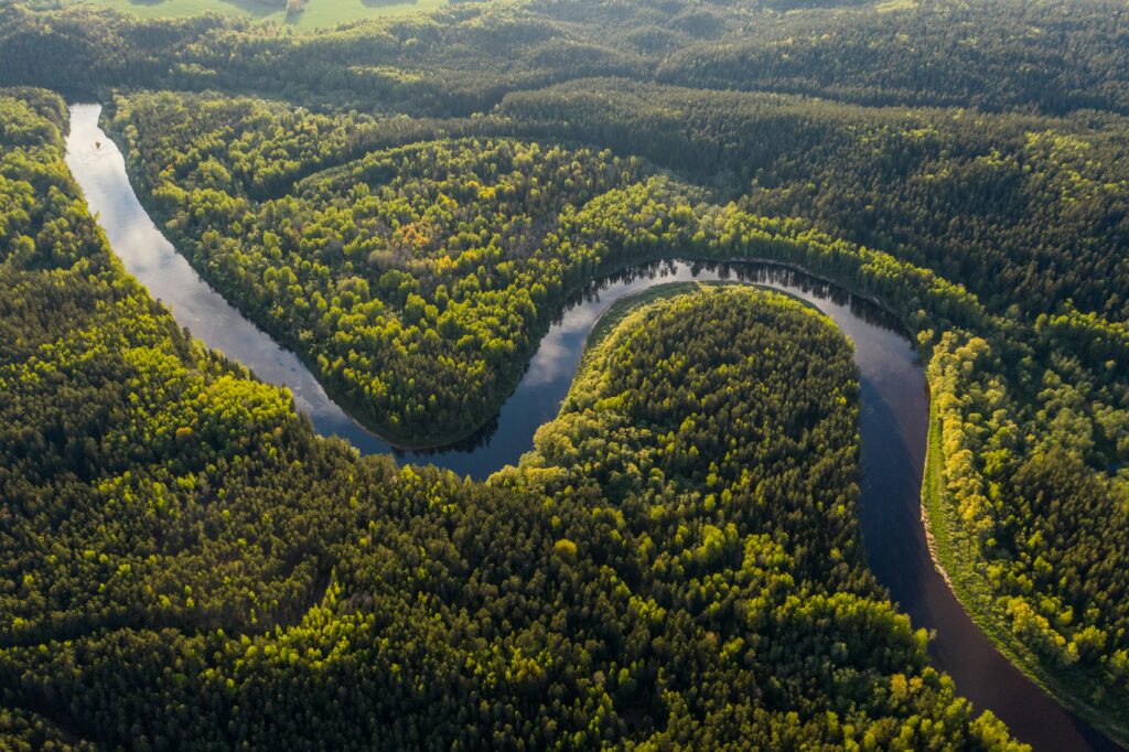 A Journey Like No Other: Your Amazon Cruise 4 amazon cruise