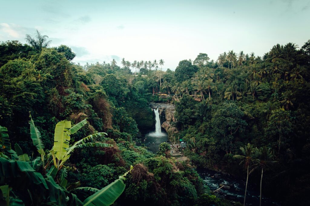 A Journey Like No Other: Your Amazon Cruise 13 amazon cruise