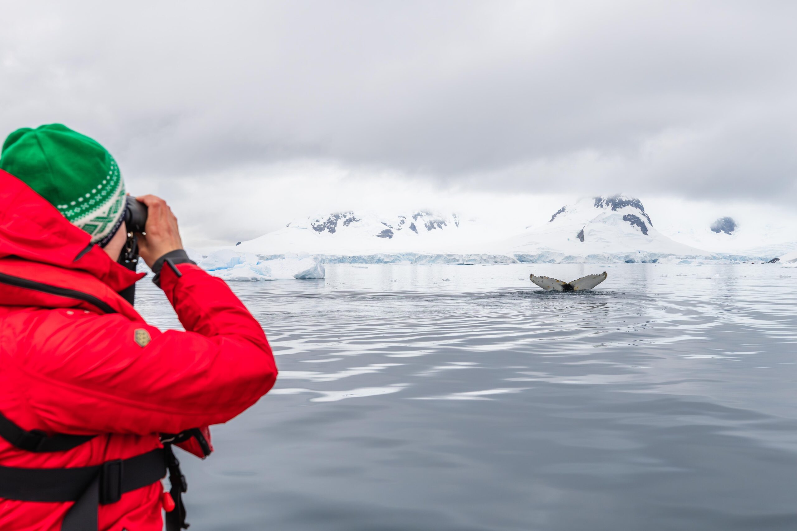 antarctica in december