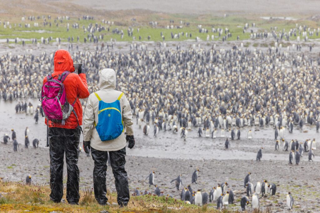 Antarctica Isn’t What You Think: How to Plan Your Trip 6 a couple of people standing on a rocky shore looking at a large group of penguins