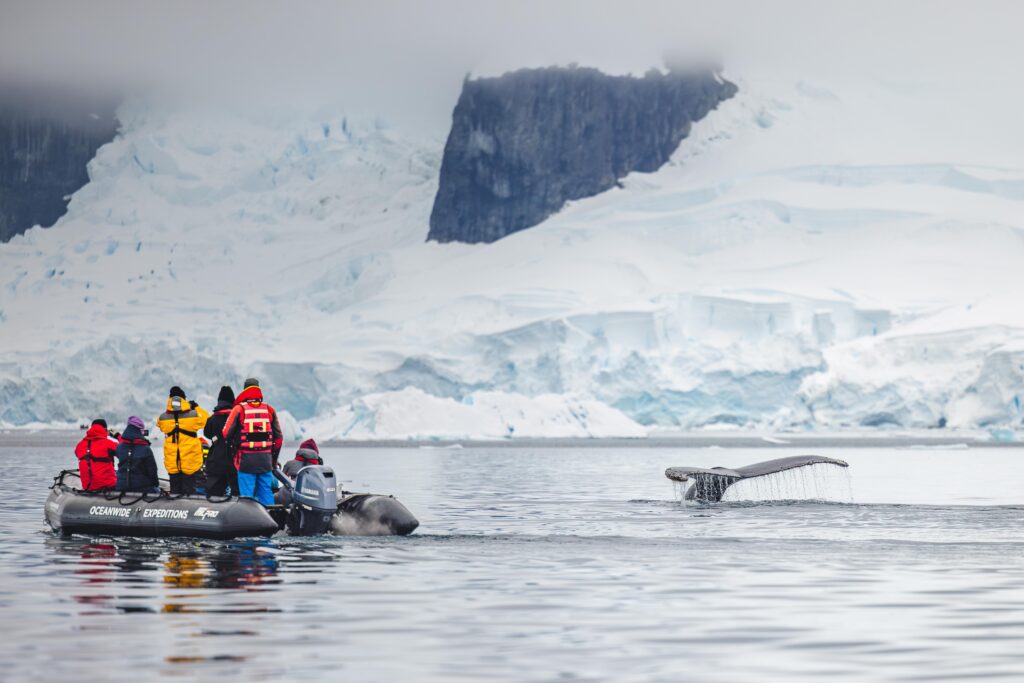 antarctica in december
