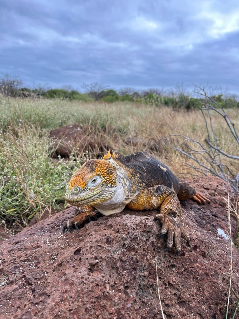 planning a trip to the galapagos islands