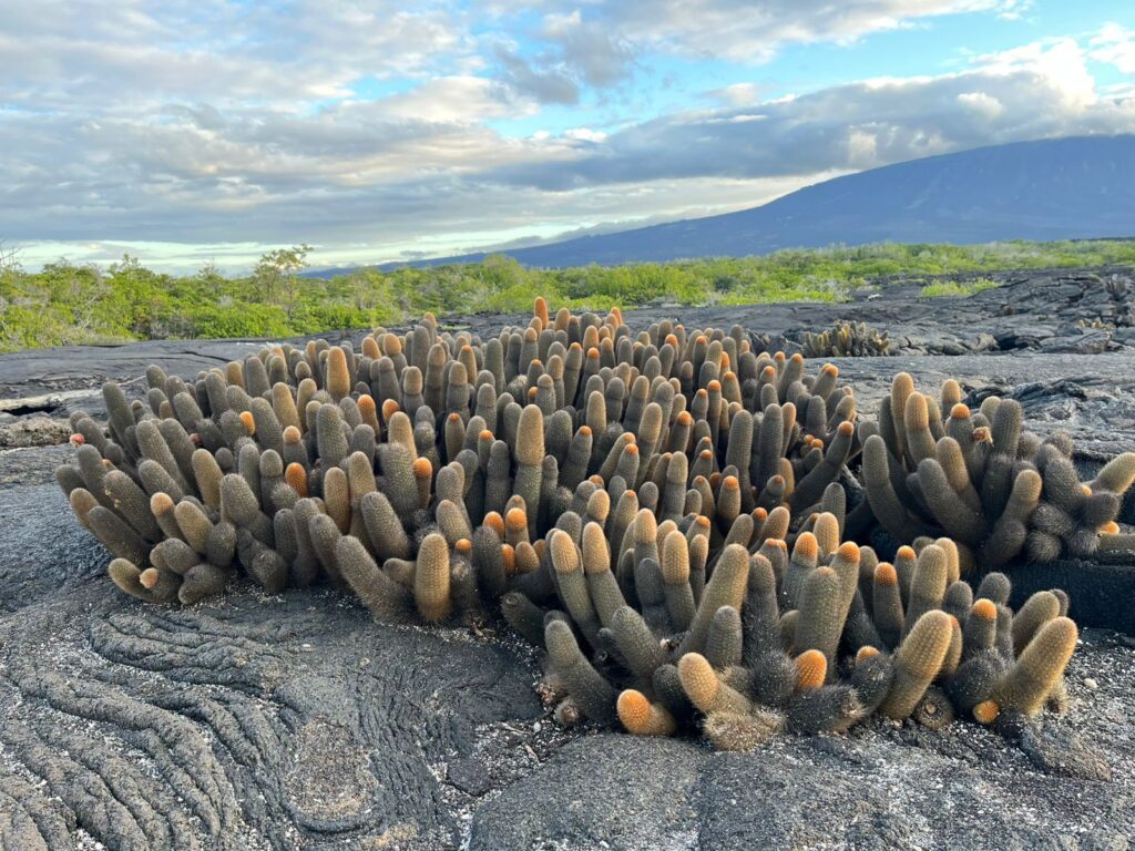 planning a trip to the galapago islands