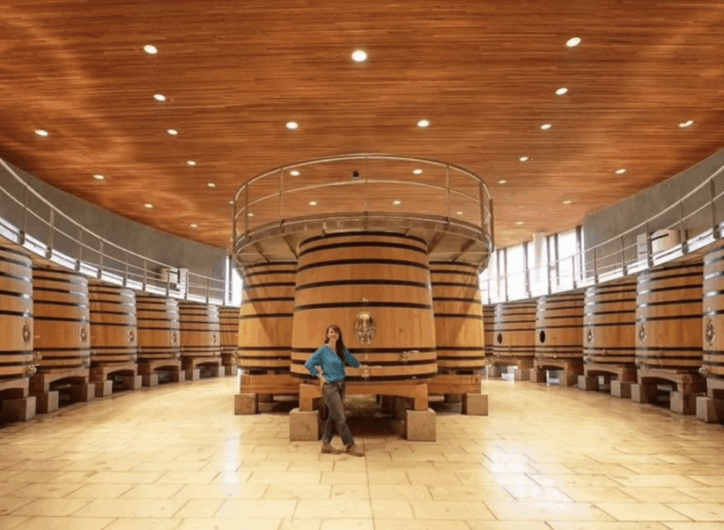 chile wine country