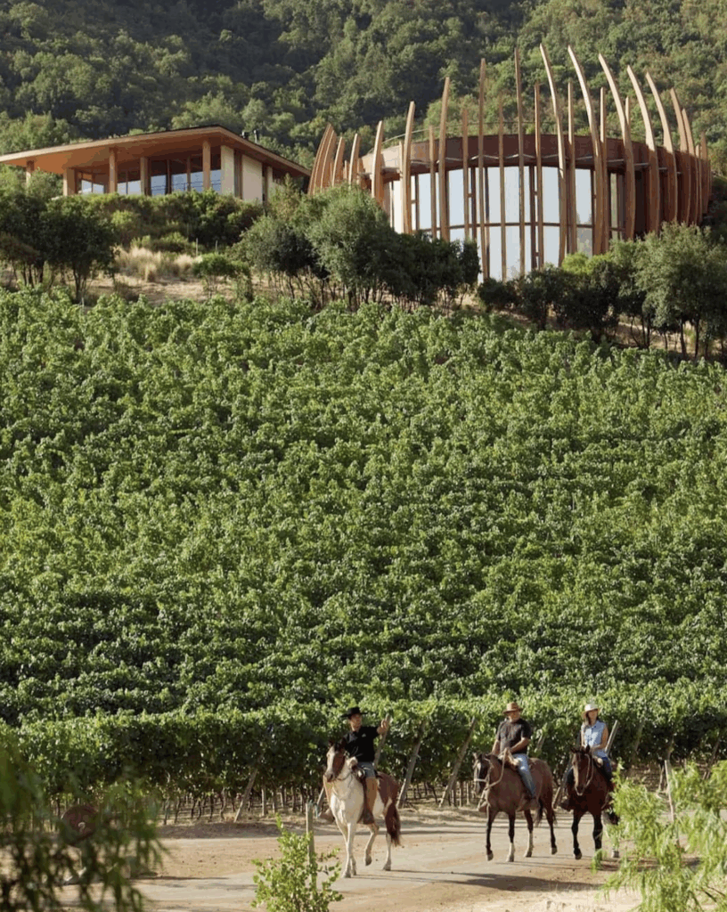 chile wine country