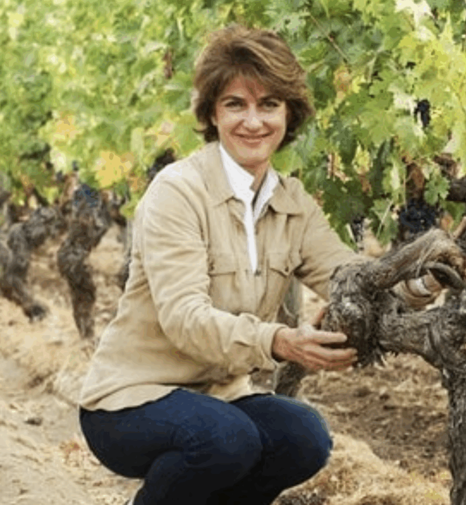 chile wine country