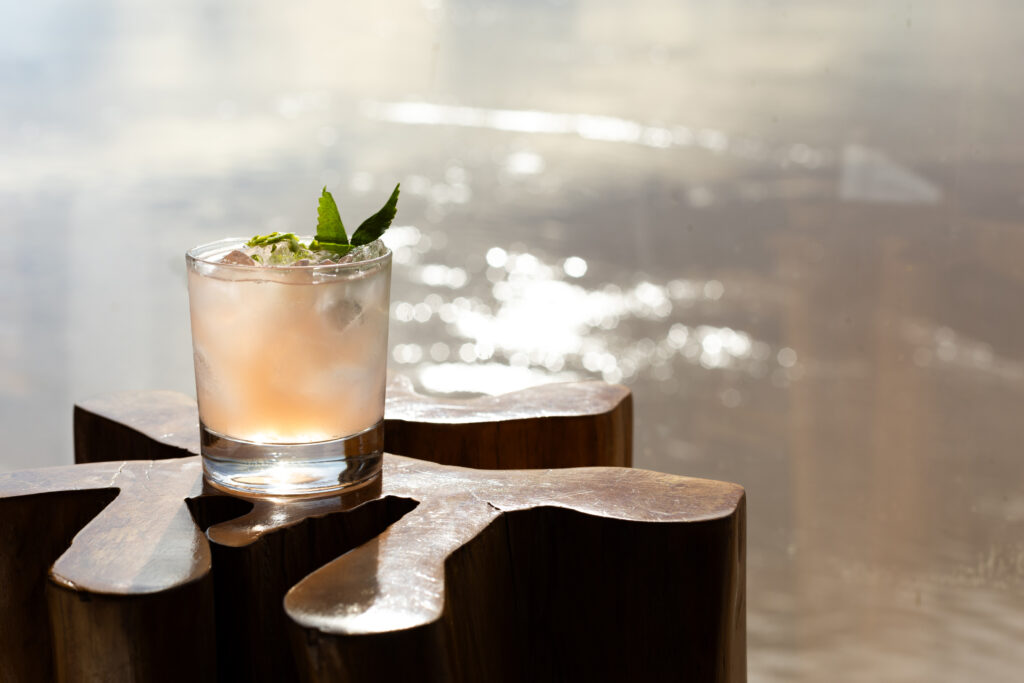 amazon delfin cruise