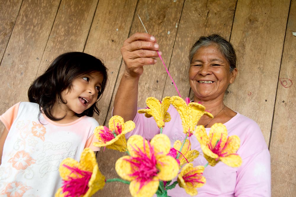 amazon delfin cruise