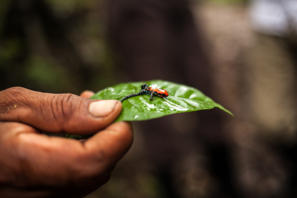 peru itinerary 2 weeks