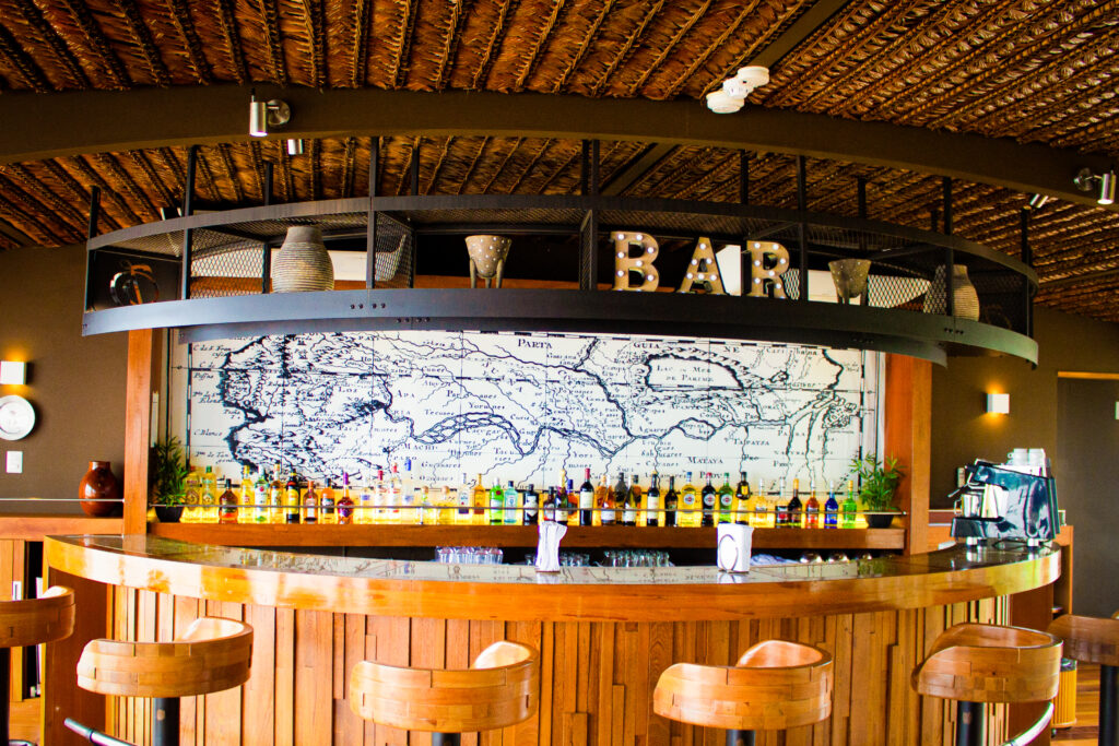 delfin amazon cruise