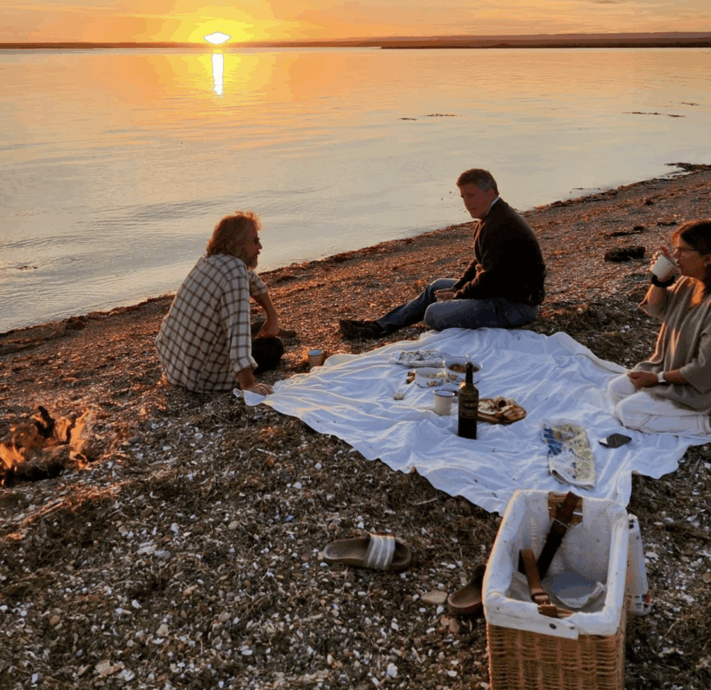 Where to see penguins in argentina